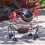 GardenKraft 14930 Solar Wire Ladybird with 62 Micro LED and 4D Moving Effect 8