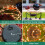 GardenKraft 14930 Solar Wire Ladybird with 62 Micro LED and 4D Moving Effect 3