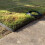 Selections Flexible Plastic Garden Edging with 120 Pegs (30m) 6