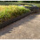 Selections Flexible Plastic Garden Edging with 120 Pegs (30m) 4