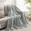 Imperial Rooms (Silver Fleece, Double) Faux Fur Fleece Blanket Large Sofa Bed Warm Throw 1