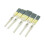 Coral Paint Brushes With Platinum Easy Clean Filaments 5 Piece Set 3