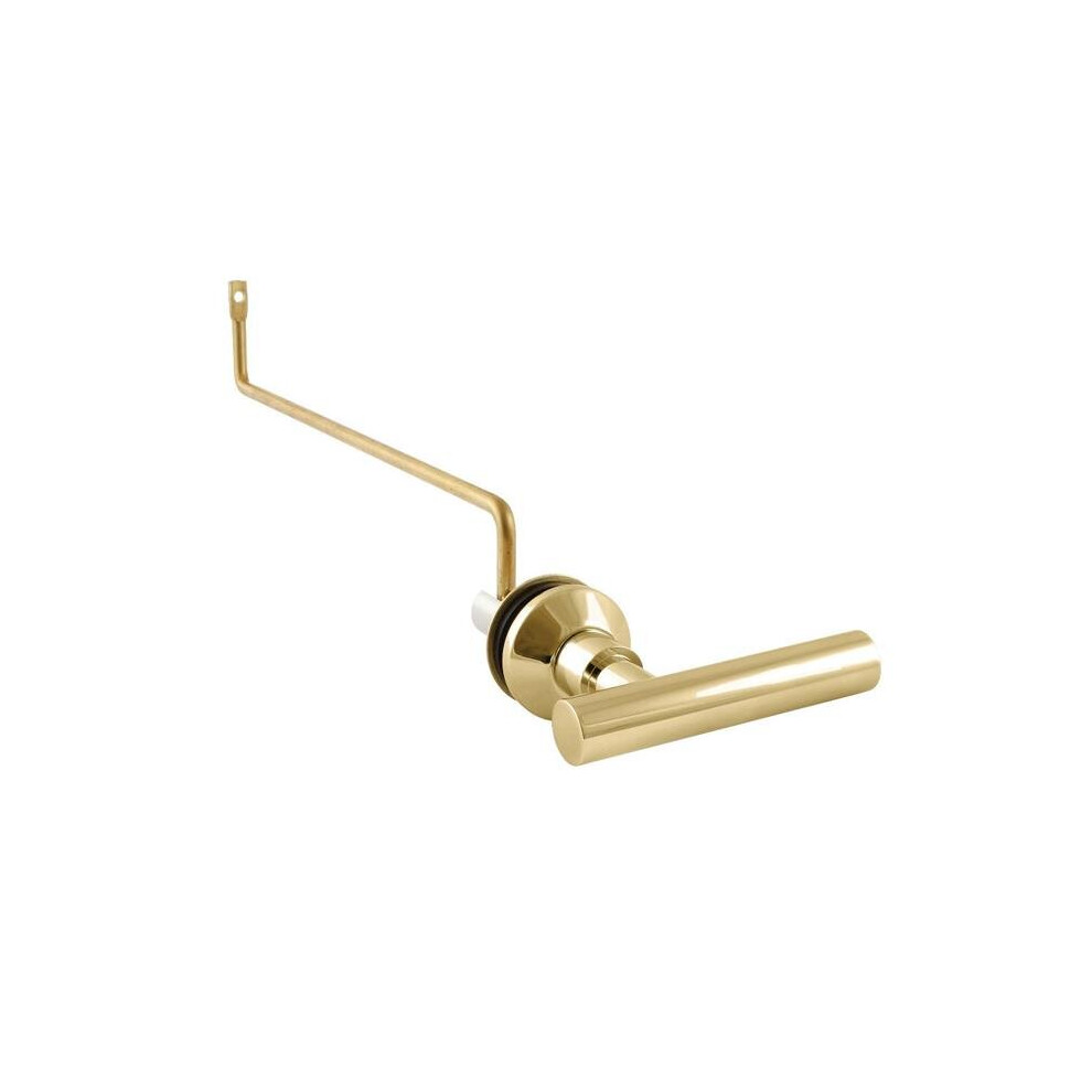 Kingston Brass Ktcmls2 Manhattan Side Mount Toilet Tank Lever, Polished Brass 663370920349