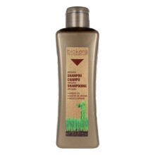Revitalizing Shampoo Biokera Arganology Salerm Argan Oil (300 ml)
