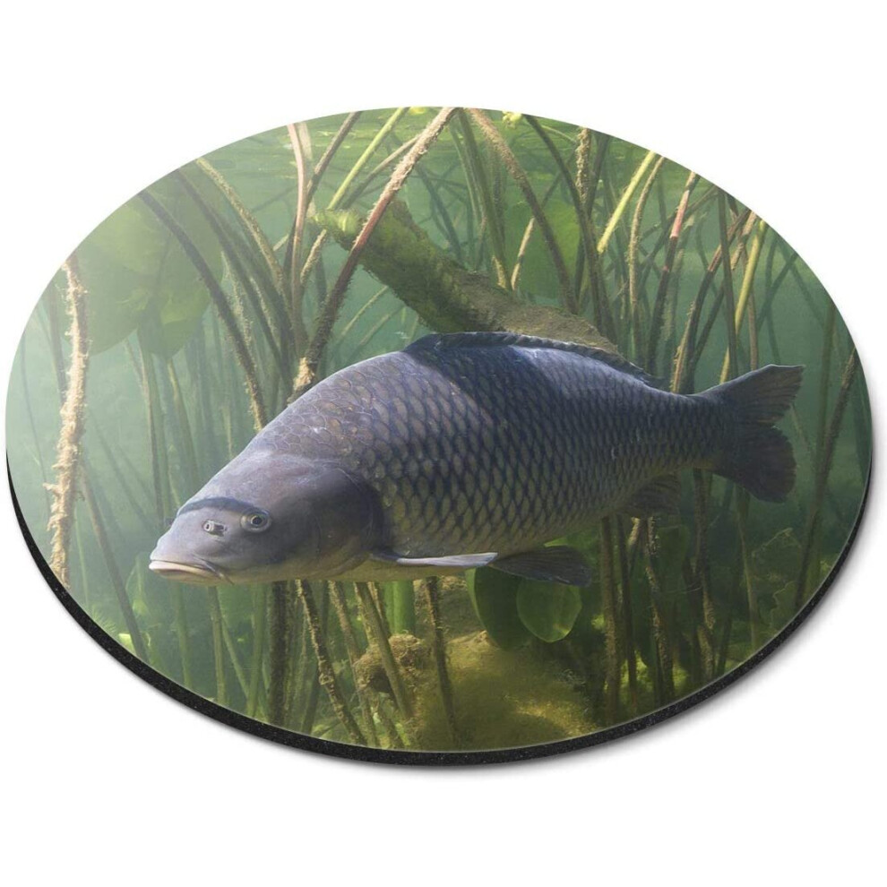 Freshwater Carp Fish Pond Fishing - Flexible Round 5Mm Rubber Mouse Mat Pad Office Home Novelty Printed Desk Accessory - 45078 7626018865603