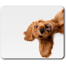 English Cocker Spaniel Puppy Dog Mouse Mat Pad Computer PC Laptop Gaming Office Home Desk Accessory Gadget 21501