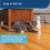 PetSafe PetSafe Stimulating Exercise Laser Cat Toy, Adjustable 5