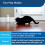 PetSafe PetSafe Stimulating Exercise Laser Cat Toy, Adjustable 6