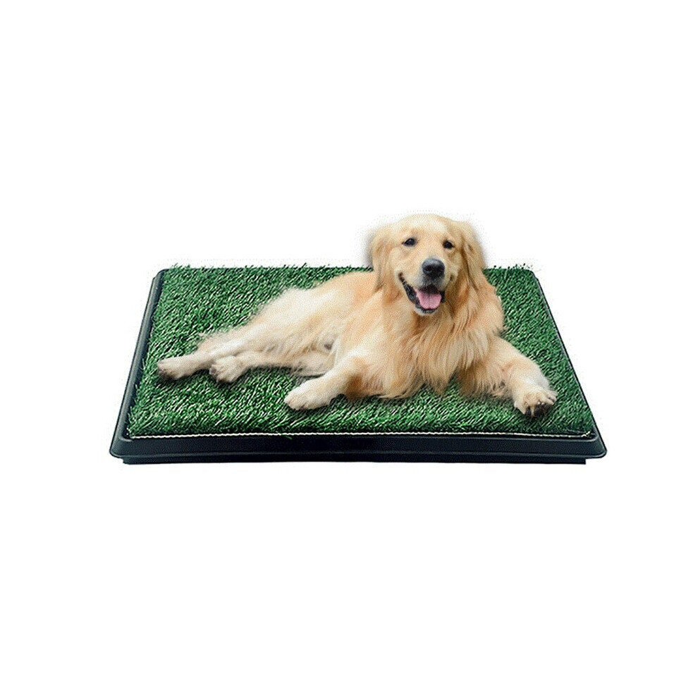Dog toxicial Grass Puppy Pad Portable Dog Potty