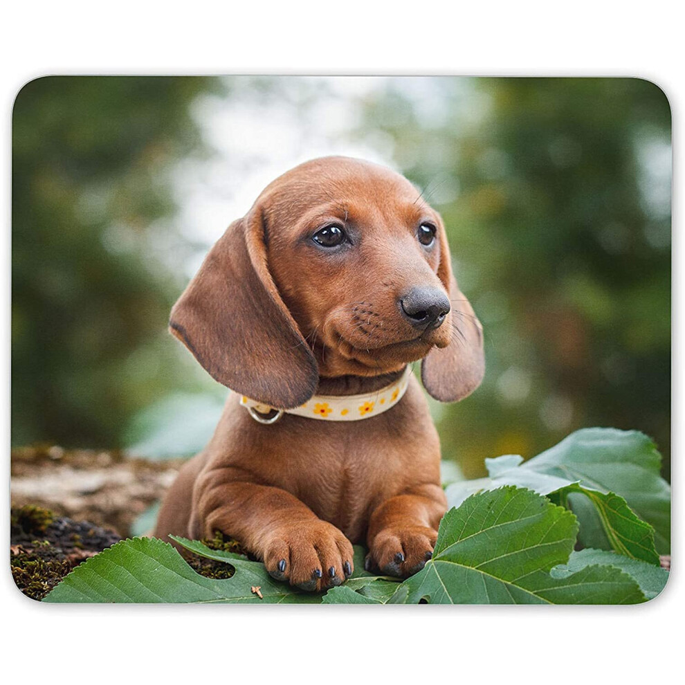 Cute Dachshund Mouse Mat Pad - Sausage Dog Puppy Hound Kids Computer #16292 7625833907307