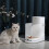 3.5L App Remote Control Cat Feeder Food Data Tracking Dual Power Support 3