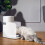 3.5L App Remote Control Cat Feeder Food Data Tracking Dual Power Support 4