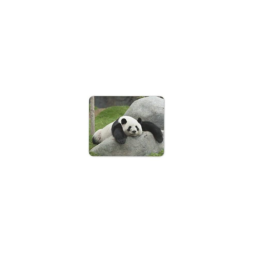 Adorable Panda Bear Mouse Mat Pad - Bears Animal Kids Fun Gift Pc Computer #8307 7625890229749