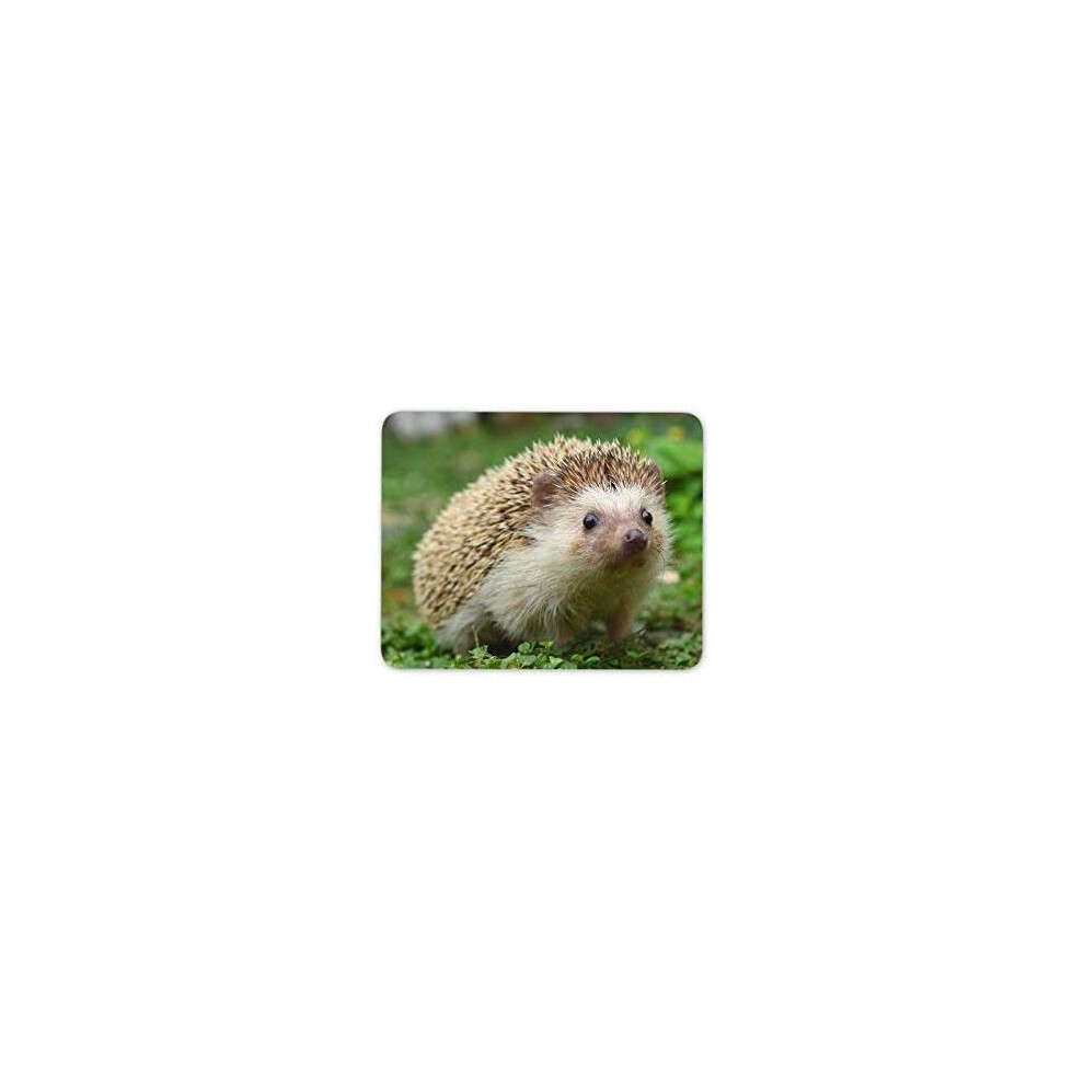 Hedgehog Mouse Mat Pad Cute Garden Animals Kids Mum Fun Computer #8205 7625909974516