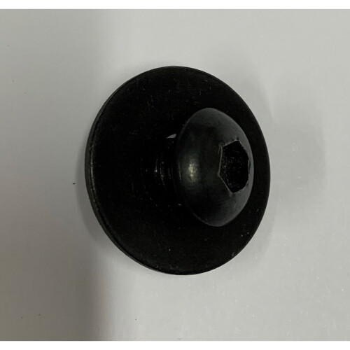 Refurbished Genuine Handle Bar Bolt & Washer For Hover-1 Matrix Wheel Buggy 1