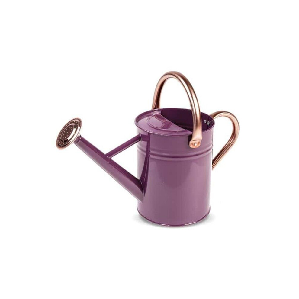 Gardman R34881X 1 gal Watering Can, Violet & Copper