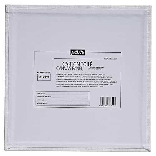 Pebeo Canvas Art, White 1