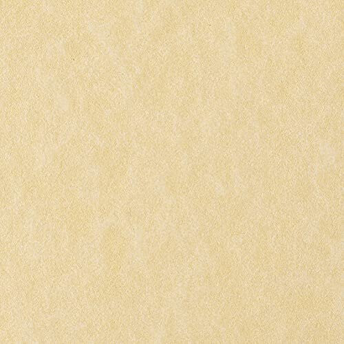 Favini Calligraphy Parchment A4 (210  297 mm)-Cream 1