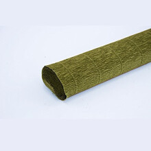 FloristryWarehouse Crepe paper roll 180g (50 x 250cm) Mid Green (shade 565)