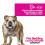 Pro-Kleen (4 x 5L) Pro-Kleen Non-Bio Pet Bedding Laundry Detergent 5