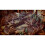 Nintendo Project Triangle Strategy - Nintendo Switch 6