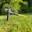 Selections Long Reach Telescopic Lawn Weeder Tool 5