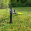 Selections Long Reach Telescopic Lawn Weeder Tool 4