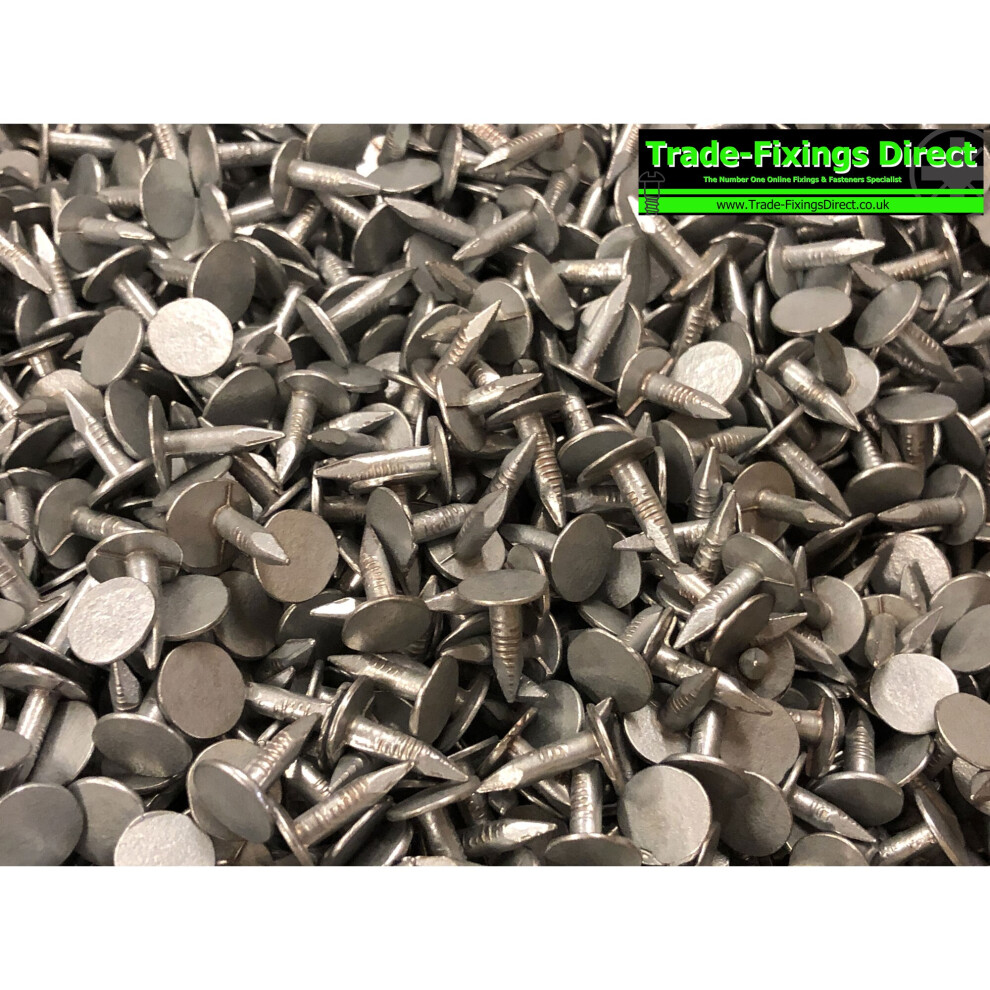 (90 x Nails) 13mm CLOUT NAILS FELT ROOF GALVANISED ROOFING EXTR LARGE HEAD