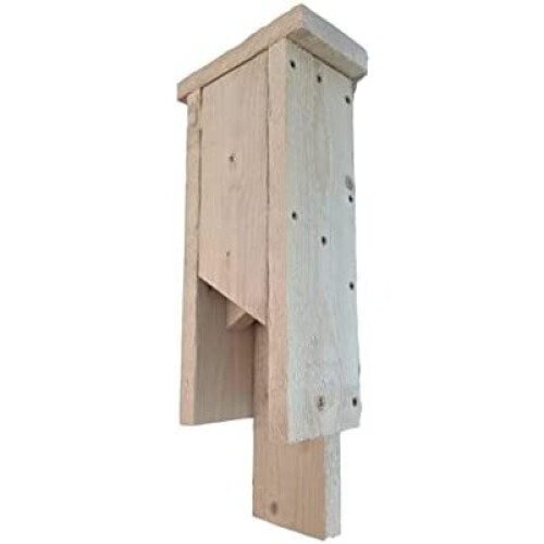 Great British Bat Box 1