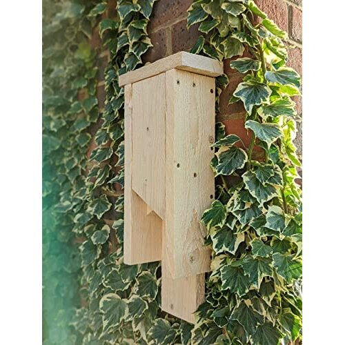 Great British Bat Box 2