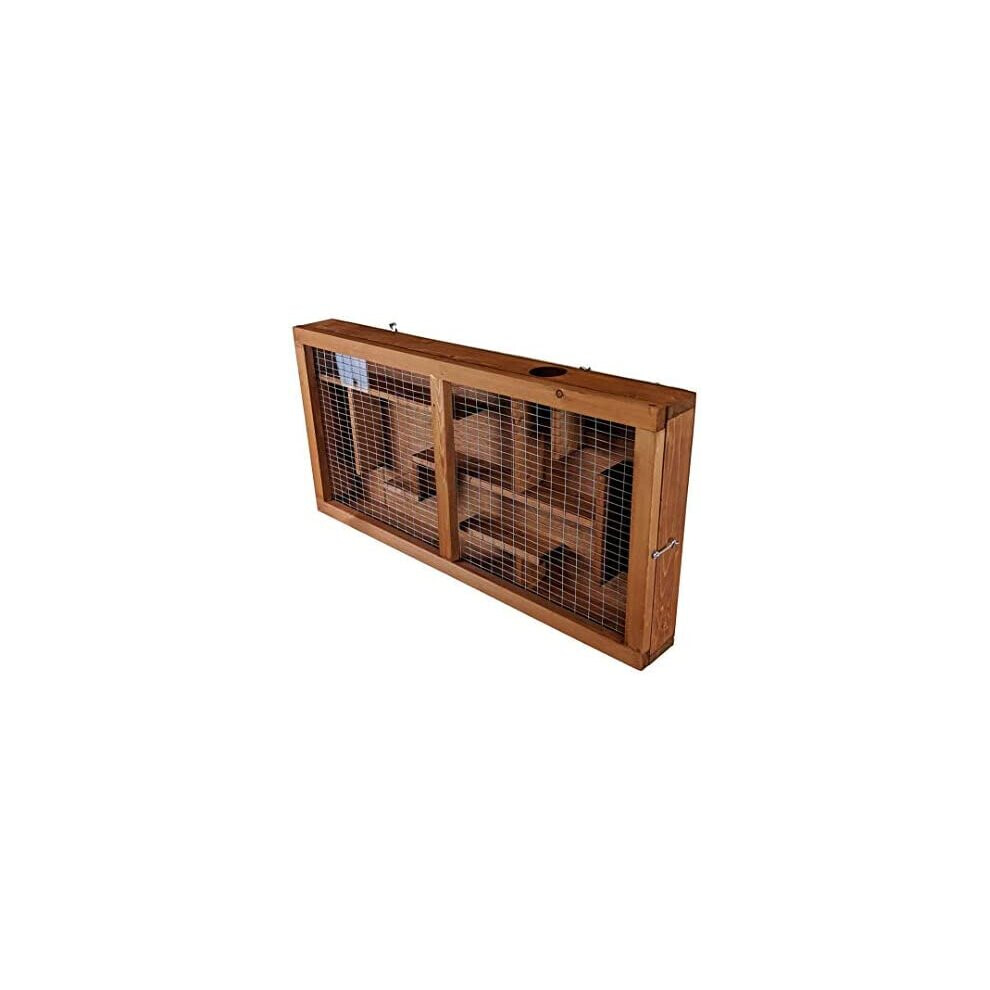 The Hutch Company Squirrel Fun Maze Feeder