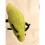 Disney D Caterpillar headband. Soft Plush Worm/Bug on your head- Costume 3
