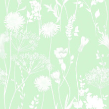 Meadowsweet Floral Green Wallpaper Muriva Catherine Lansfield White Flower