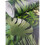 AS Creation 3D Effect Tropical Palm Leaf Wallpaper Green Beige Vinyl Paste Wall A.S Creation 4