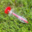 Selections Hand Held Seed Dispenser (Pack of 3) 9
