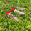 Selections Hand Held Seed Dispenser (Pack of 3) 2