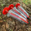 Selections Hand Held Seed Dispenser (Pack of 3) 5