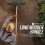 Large Garden Rake Head 120cm Handle Heavy Duty Plastic 16 Teeth Soil 8