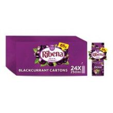 Ribena Blackcurrant Juice Drink 250ml - Pack of 24, No artificial colours or flavours, Rich in Vitamin C