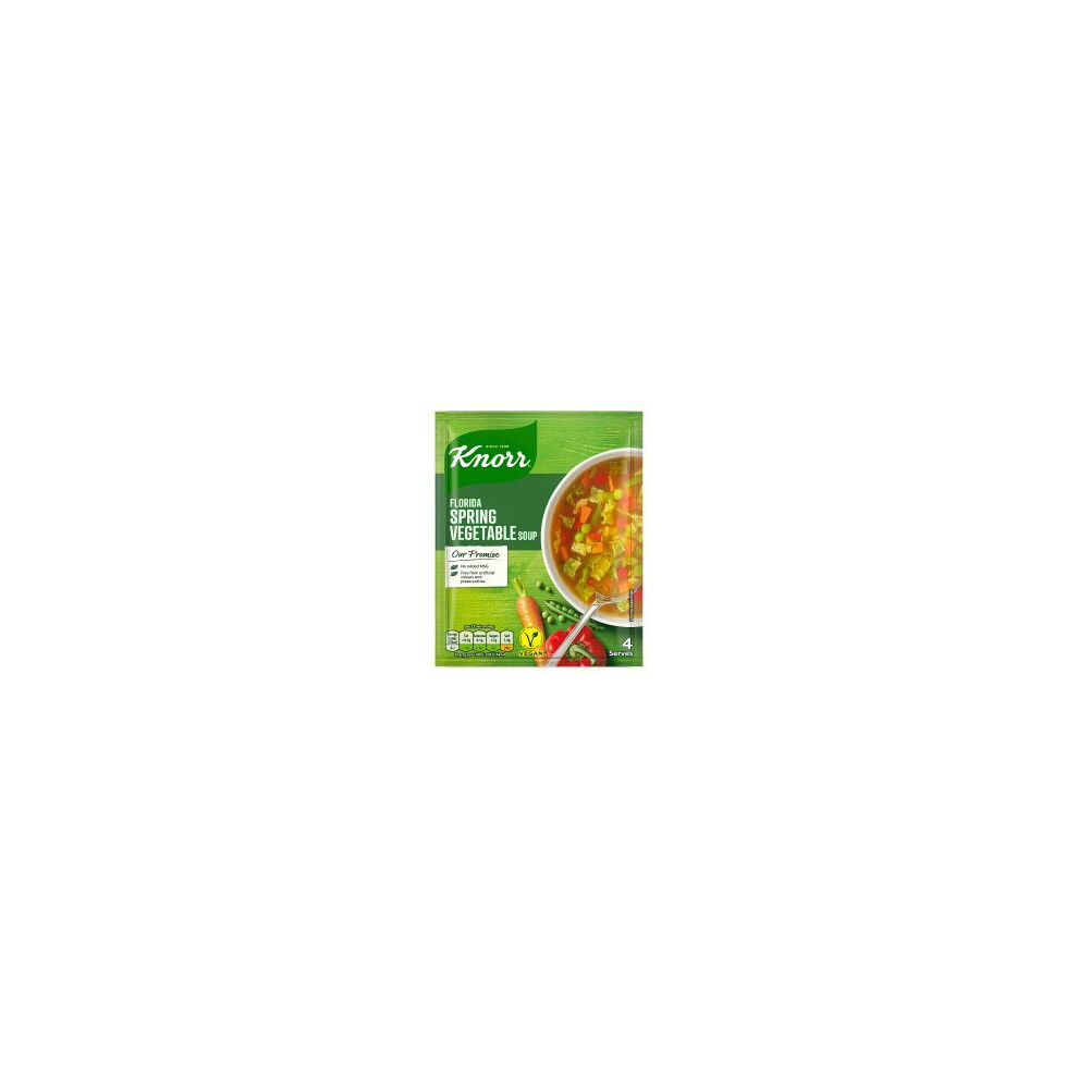 Knorr Florida Spring Vegetable Dry Packet Soup 48g (Pack of 9)