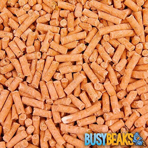 BusyBeaks Berry Suet Pellets (2.5L) 1