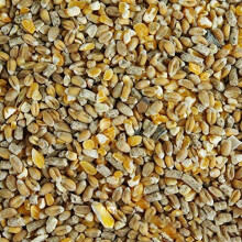 BusyBeaks Chicken Corn Extra | Premium Grade Poultry Feed | Nutritious Oyster Shell, Layers Pellets, Fibre Wheat & Split Maize | High Energy, Pro