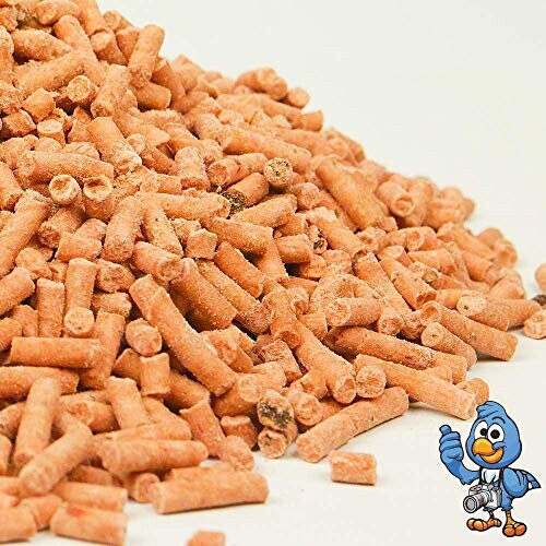 BusyBeaks Berry Suet Pellets (2.5L) 2