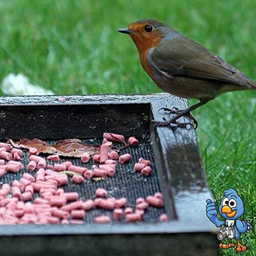 BusyBeaks Berry Suet Pellets (2.5kg) 2