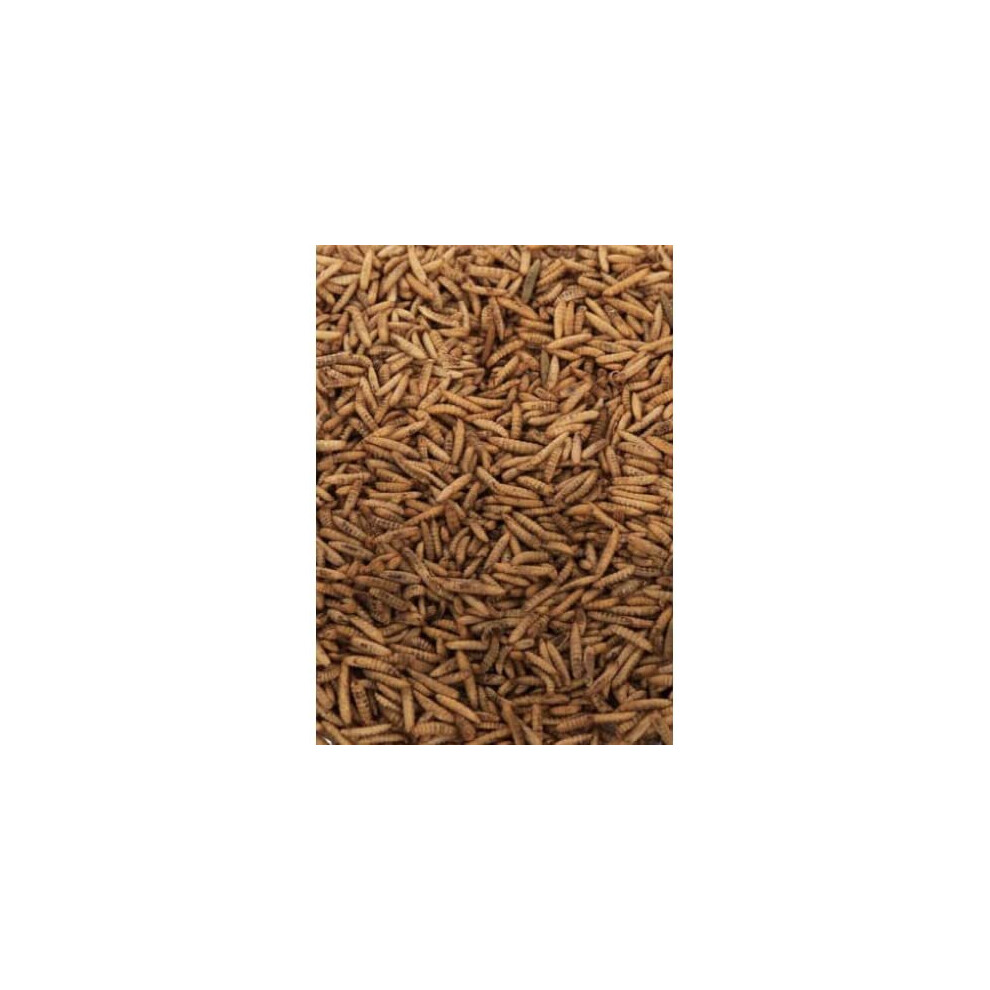 Maltbys' Stores 1904 Limited Dried Calciworms 5Kg Premium Wild Bird & Hedgehog Food Higher Calcium Than Mealworms Black