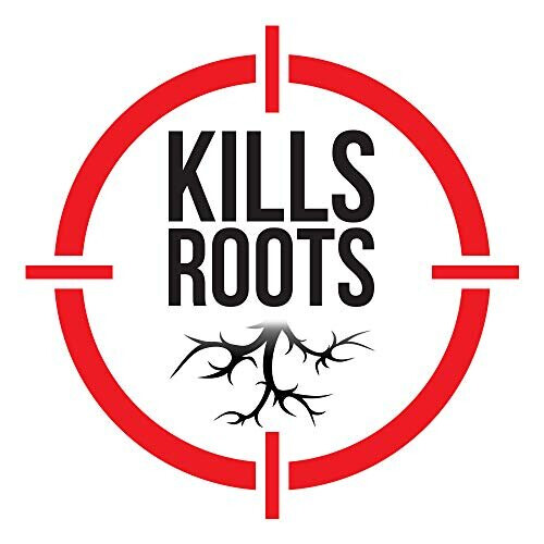 Doff Doff 1L Fast Acting Weed Killer 2