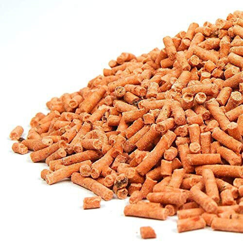 SQUAWK Berry Suet Pellets (2.5L) 1