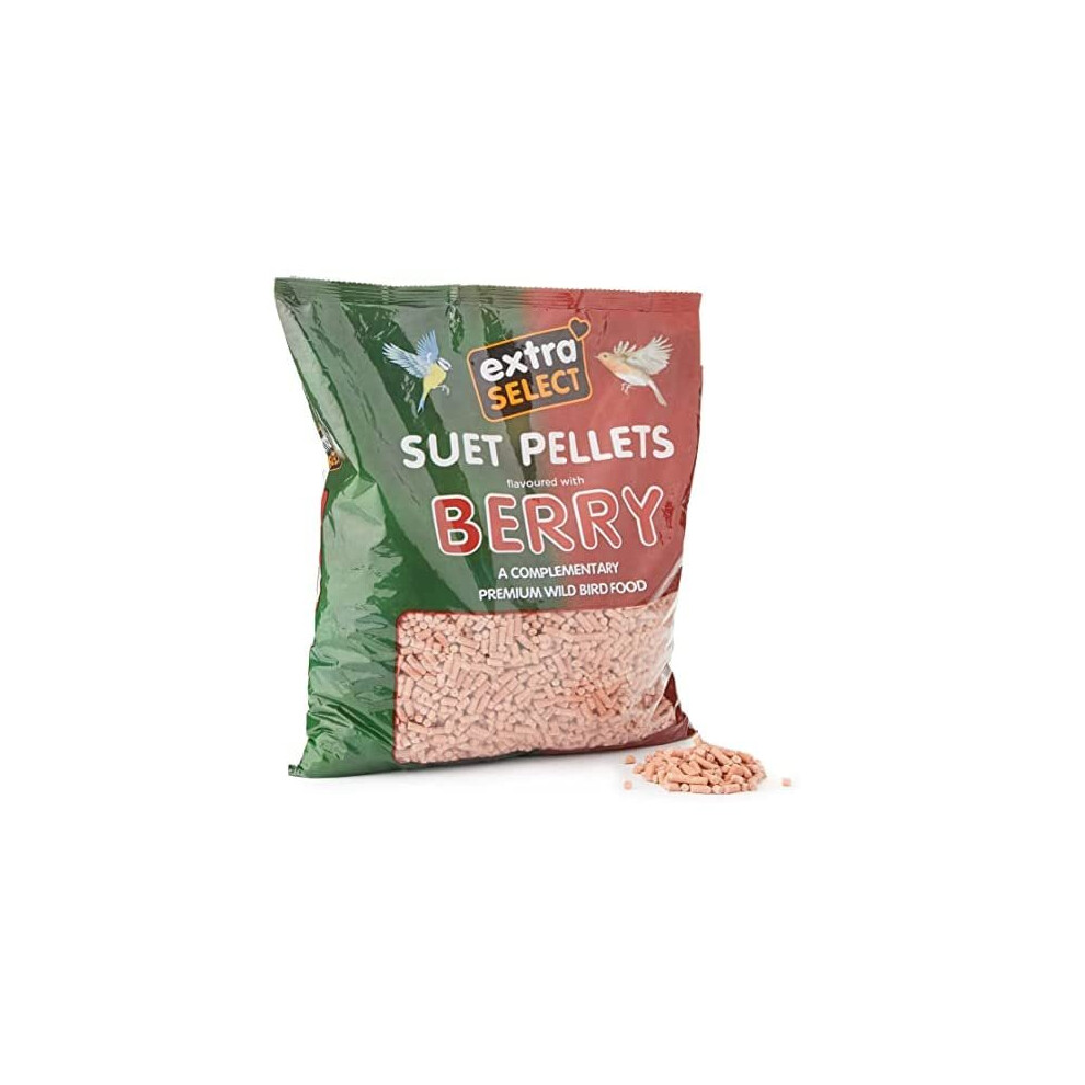 Extra Select High Energy Berry Suet Pellets Refill Wild Bird Treat, 3 Kg