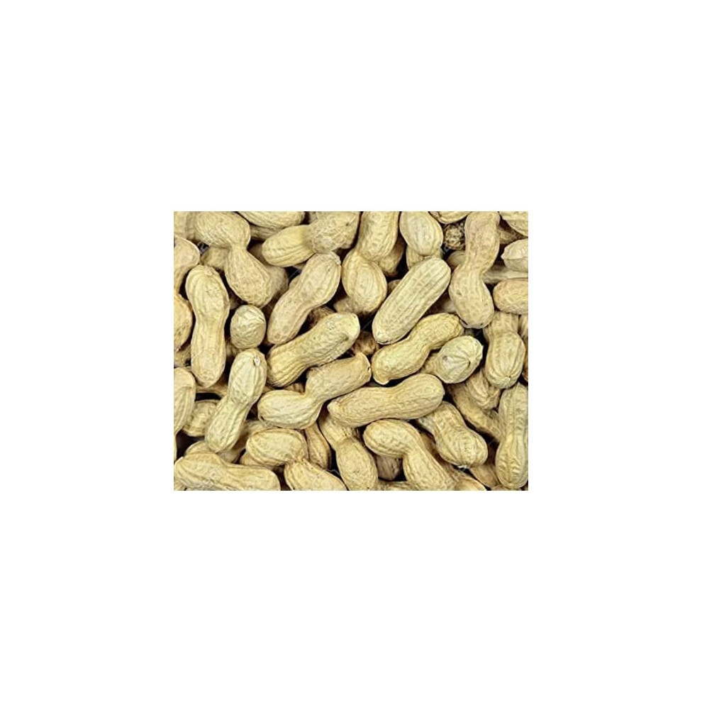 Maltbys' Stores 1904 Limited Peanuts in Shells 2kg Premium Safe Wild Bird Food Monkey Nuts Afflotoxin Free