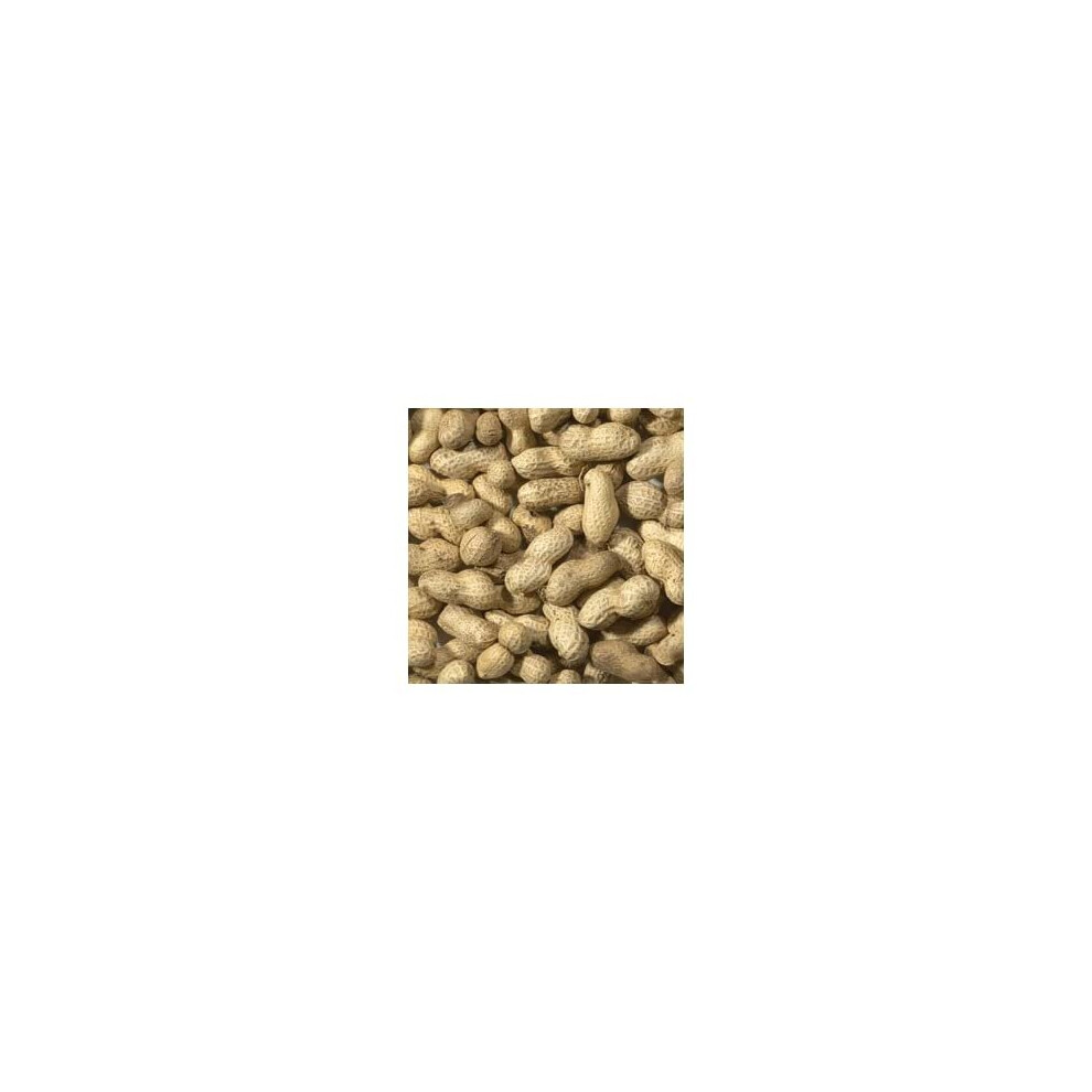 Trusty Pet Supplies Wild Bird Peanuts in Shells Monkey Nuts 5kg